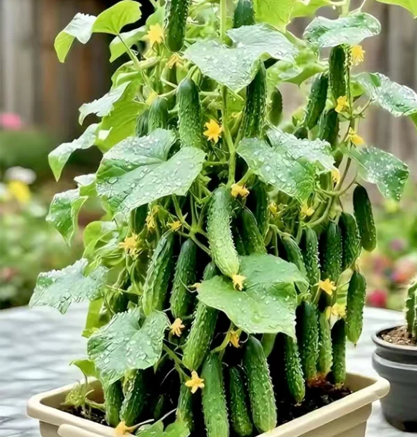 The Ultimate Container Cucumber Course