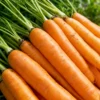 The Ultimate Container Carrot Course