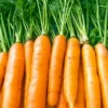 The Ultimate Container Carrot Course